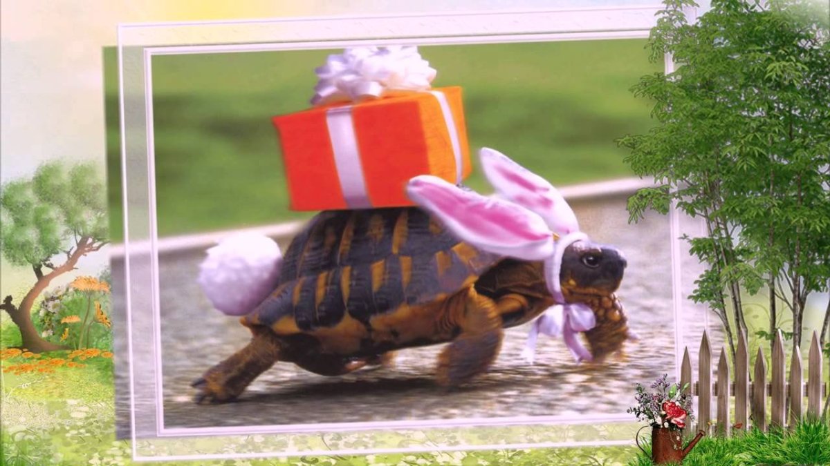 Прости меня