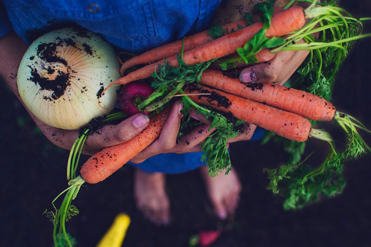 Кристофер Квалли самая большая морковь