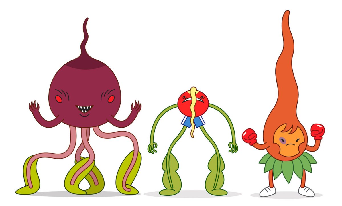 Морковь толстая