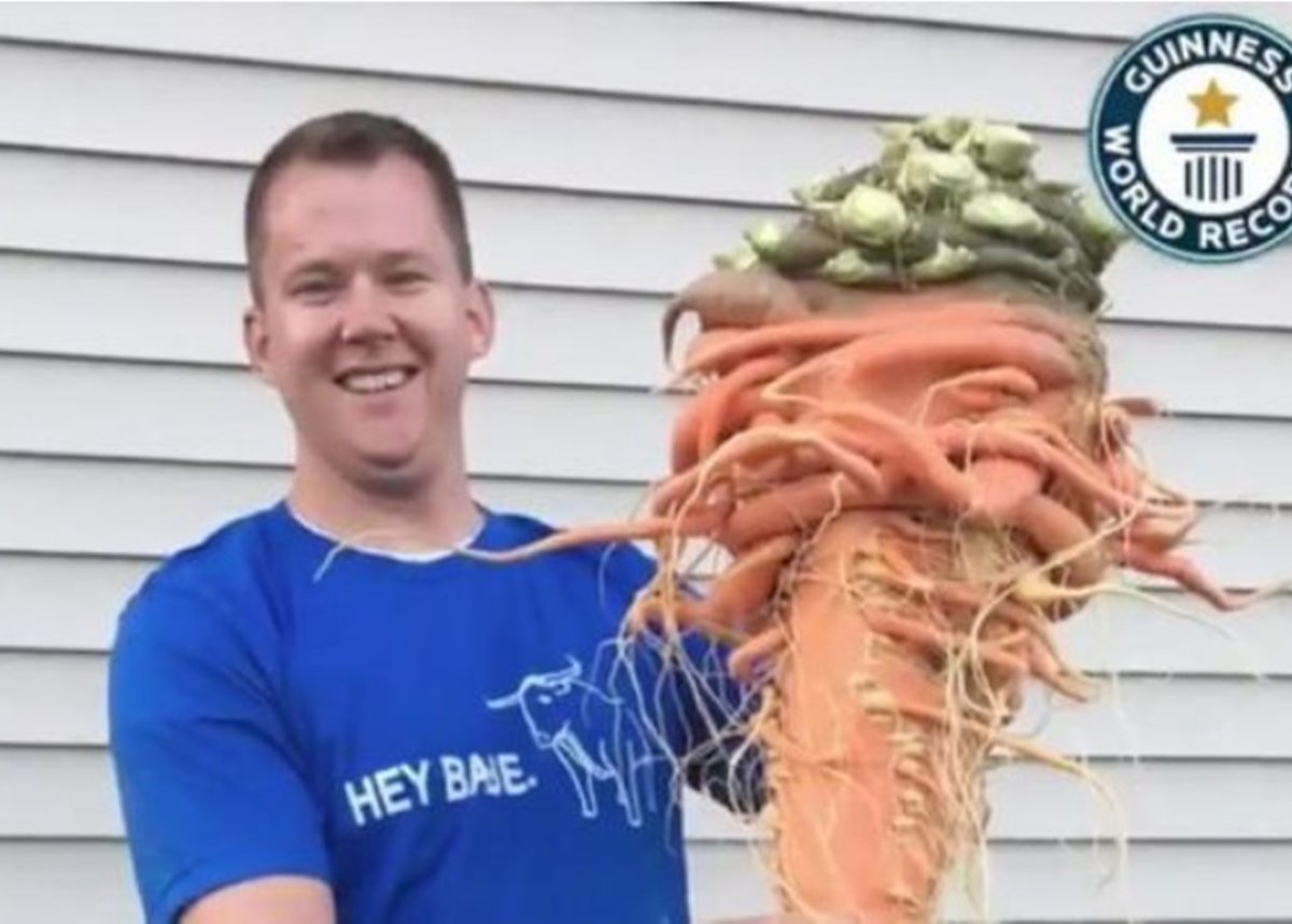 Кристофер Квалли самая большая морковь