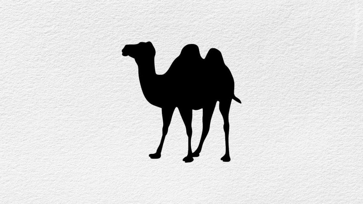 Мультяшный Караван с верблюдами