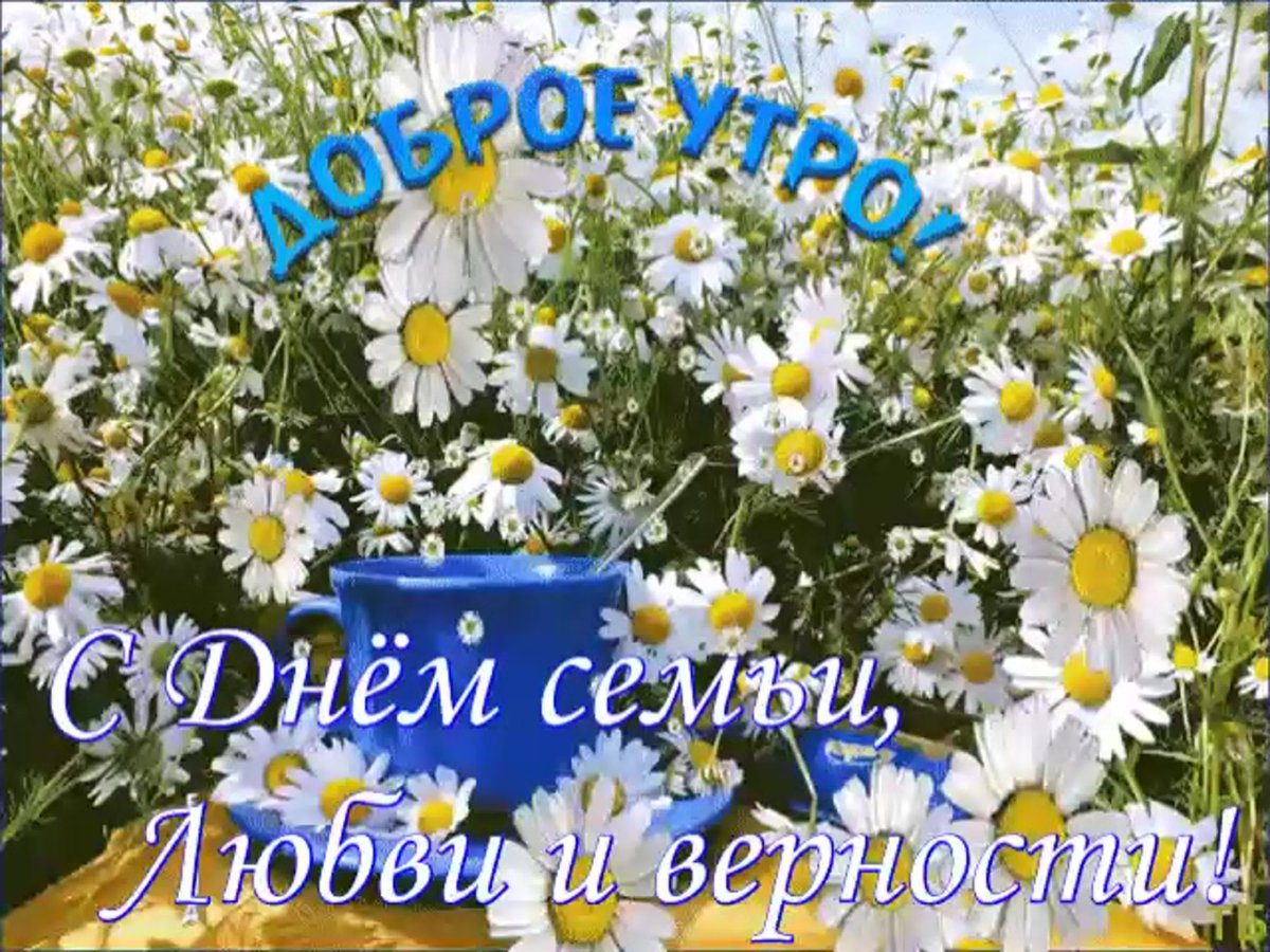 Букет полевых ромашек