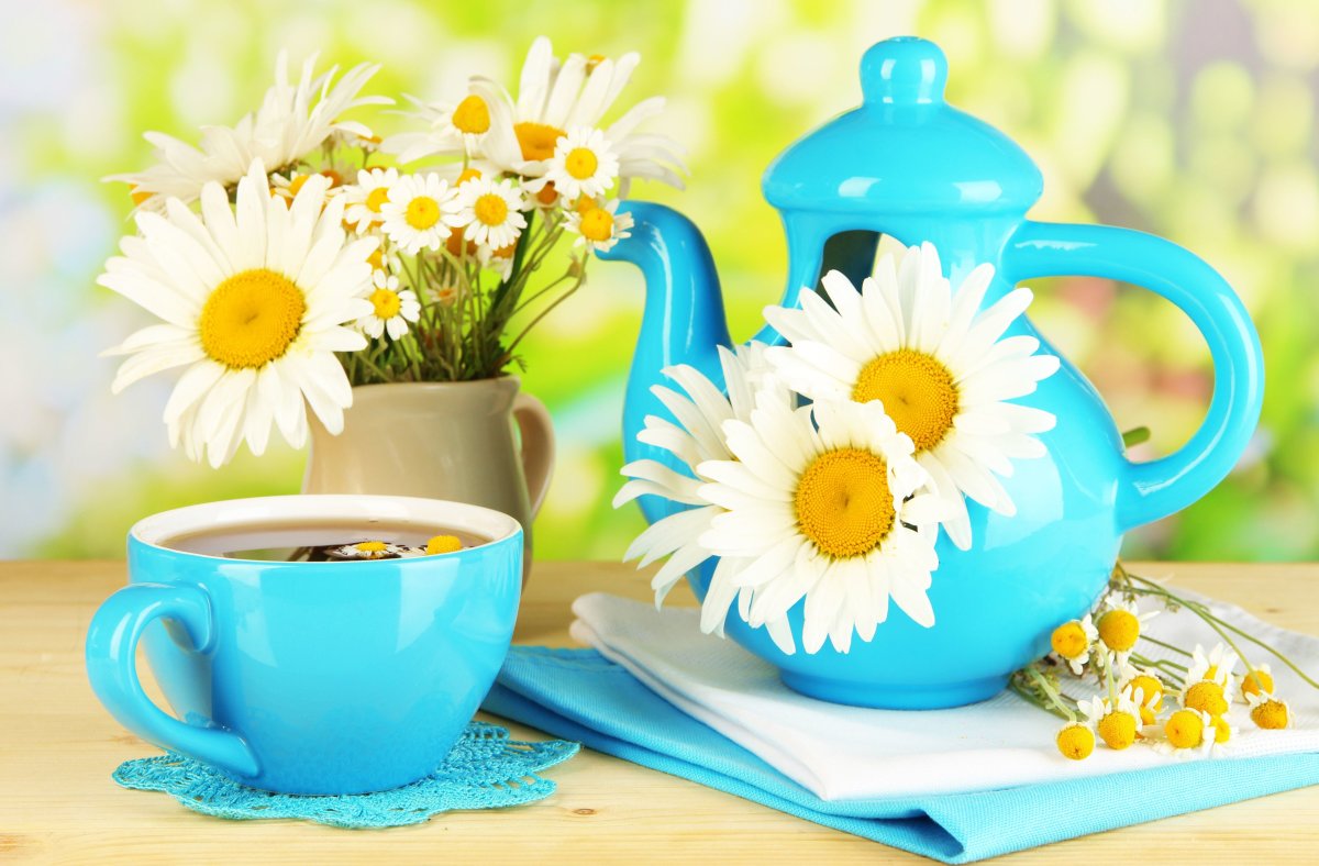 Ромашки романтика