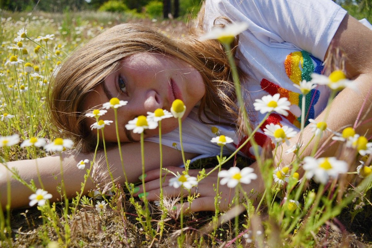 Милые скромные ромашки