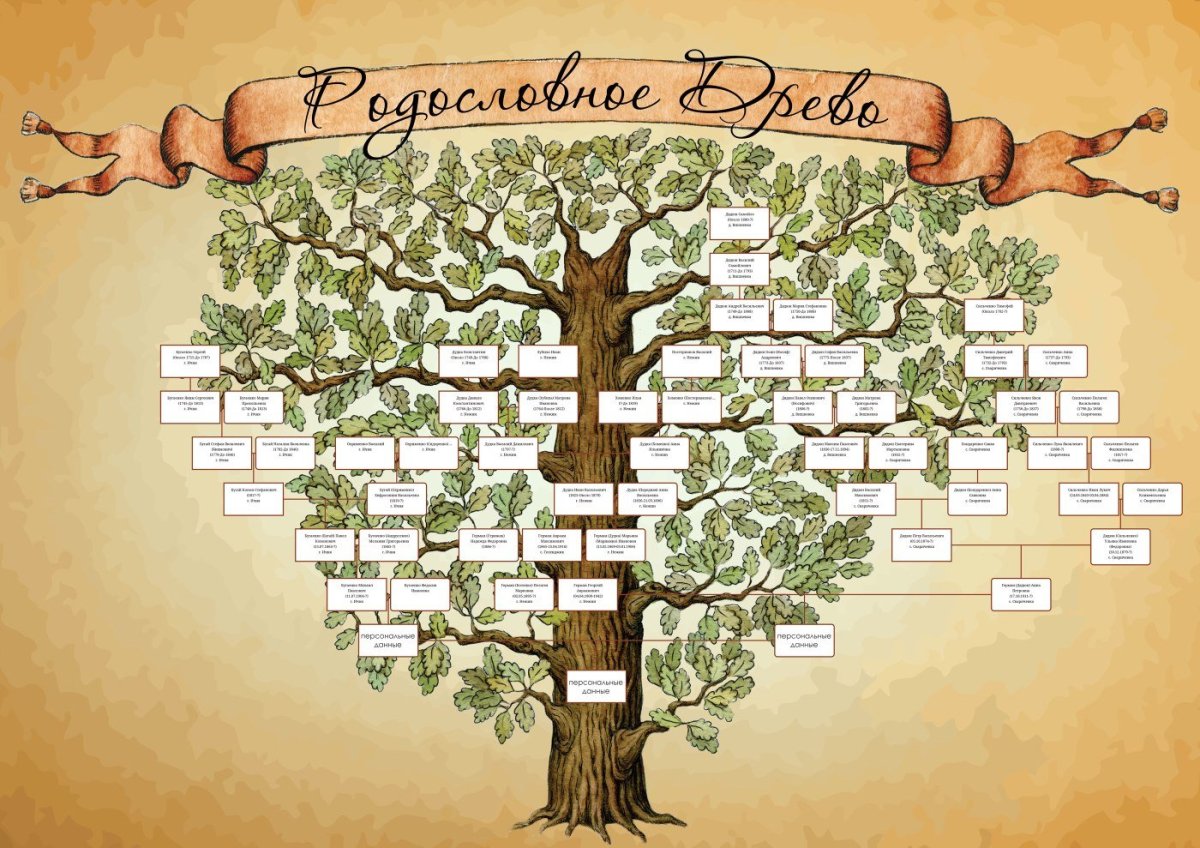 Семейное Древо маленькое