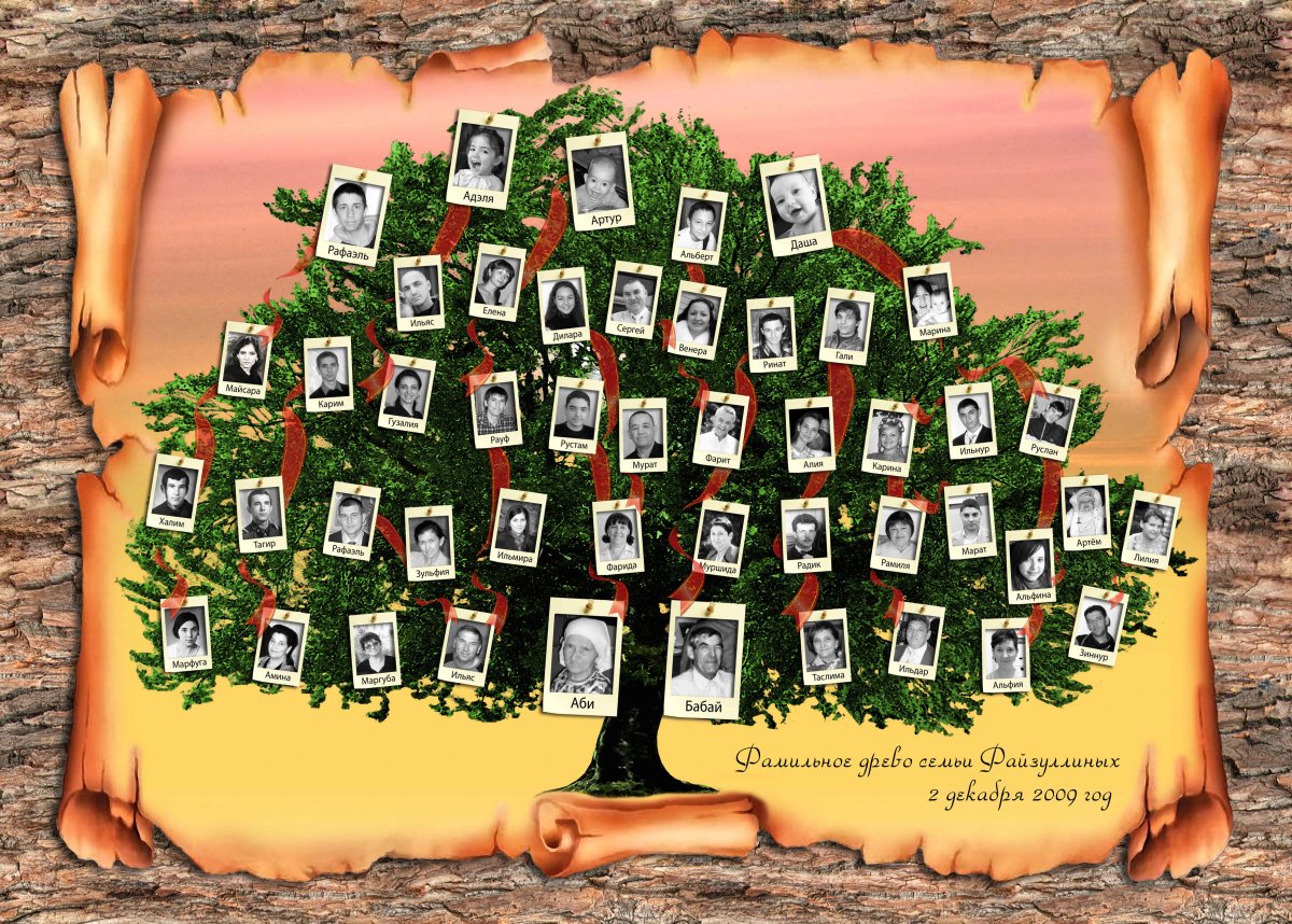 Родословное дерево семьи