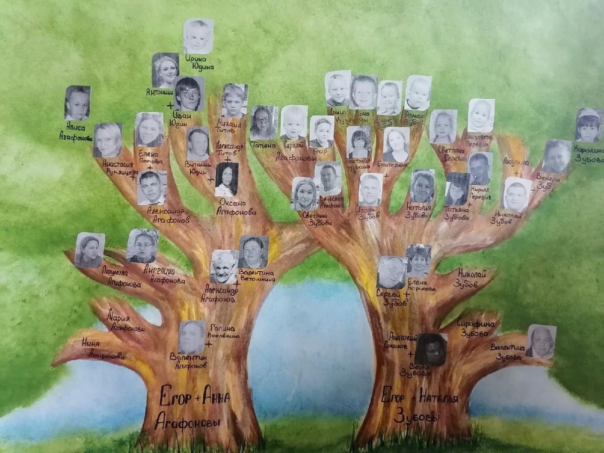 Родословная дерево Стародубовский