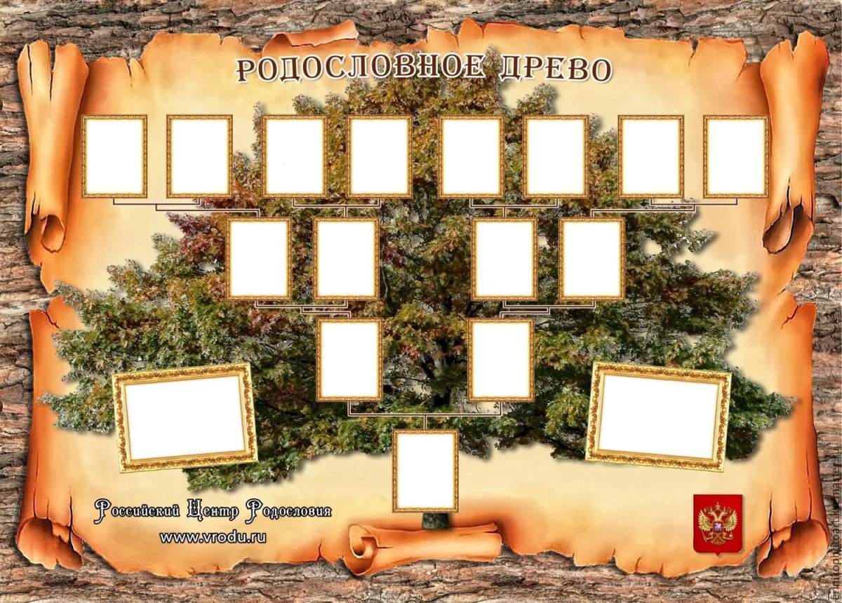 Геологическое Древо семьи