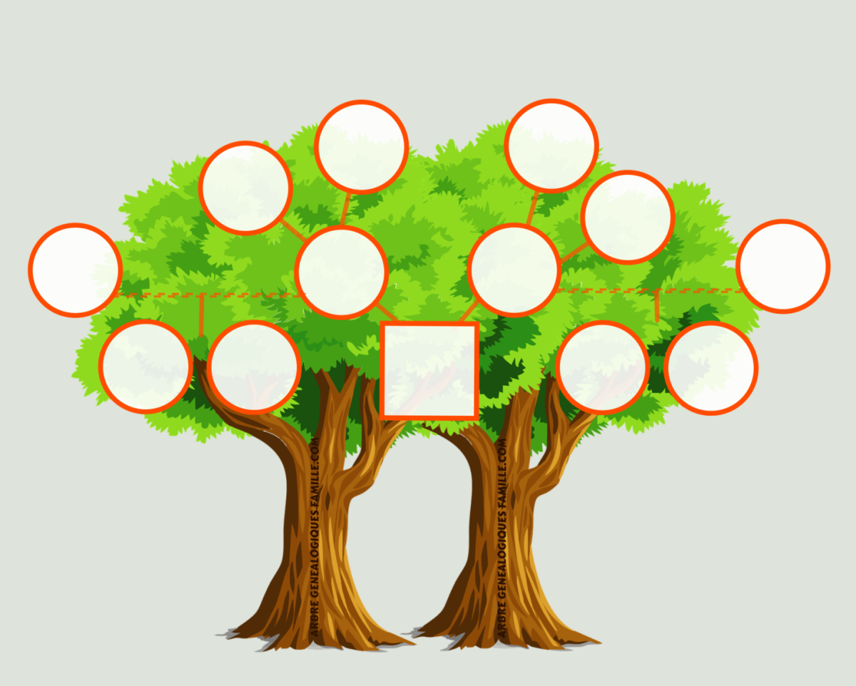 Родословное дерево Фишер