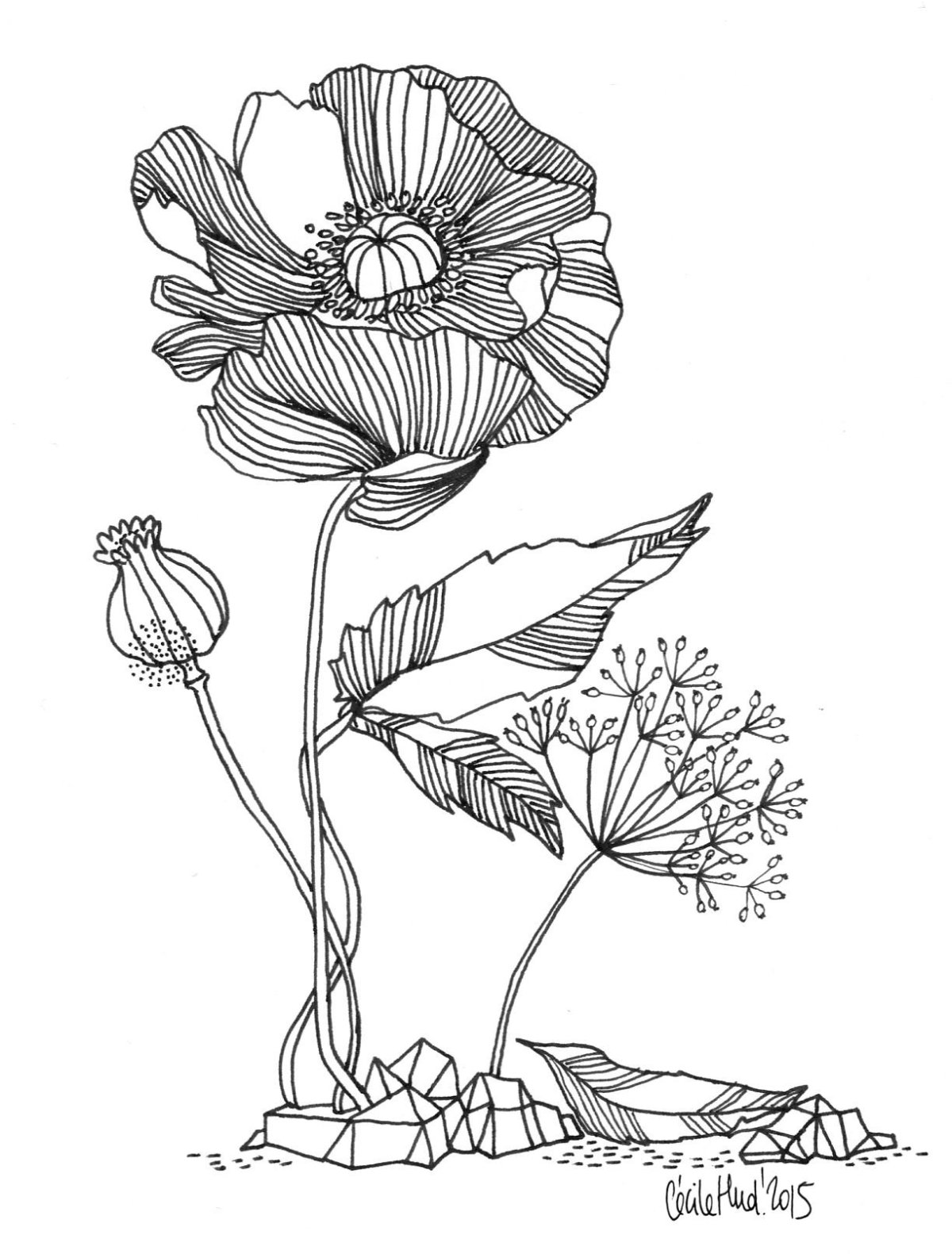 Графичная бабочка