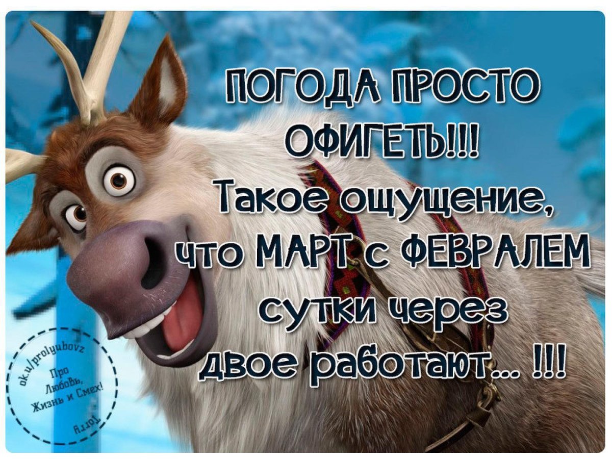 Смешные стишки