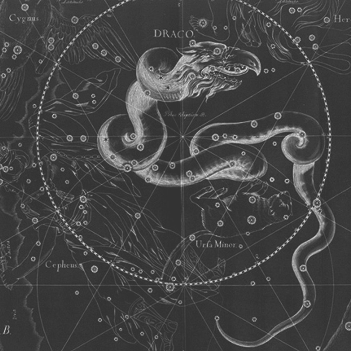 Созвездие Змееносца на карте