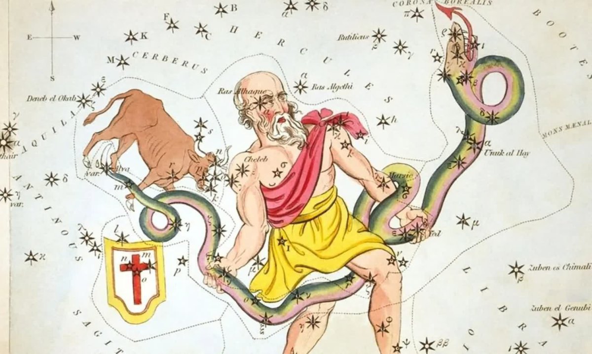 Змееносец рисунок