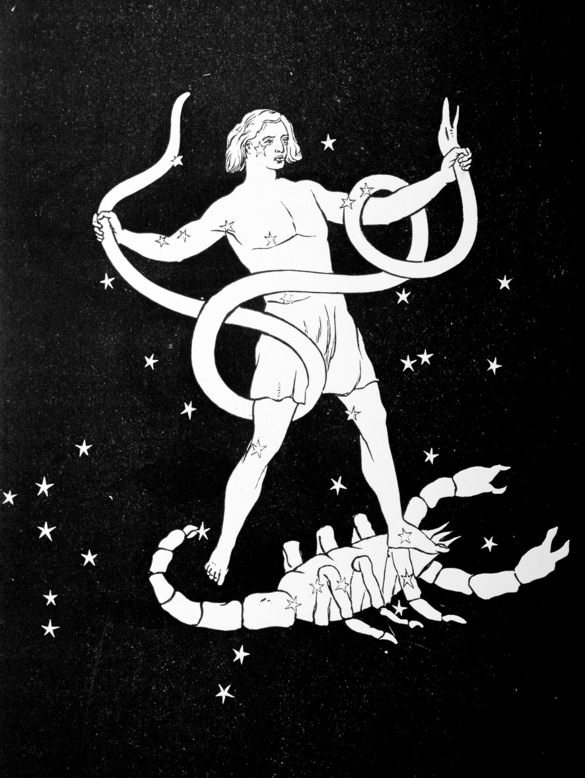 Ophiuchus msmina