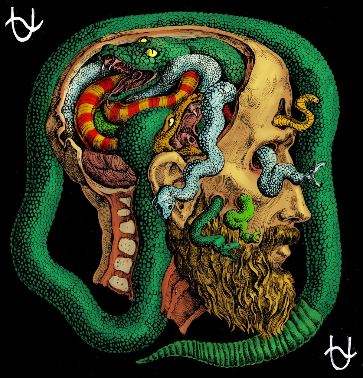 13 Созвездие Змееносец