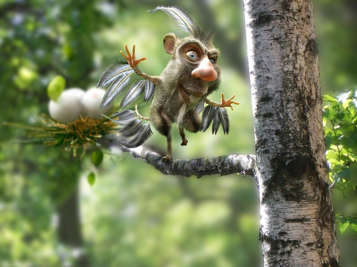 Хохлатая Чайка