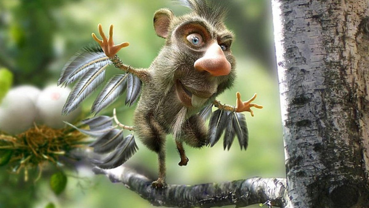 Чудо в перьях