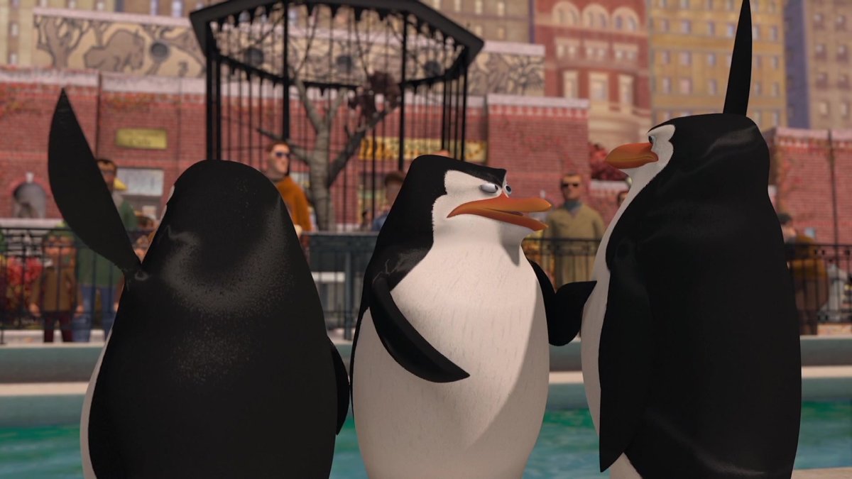 Пингвины из Мадагаскара маленькие