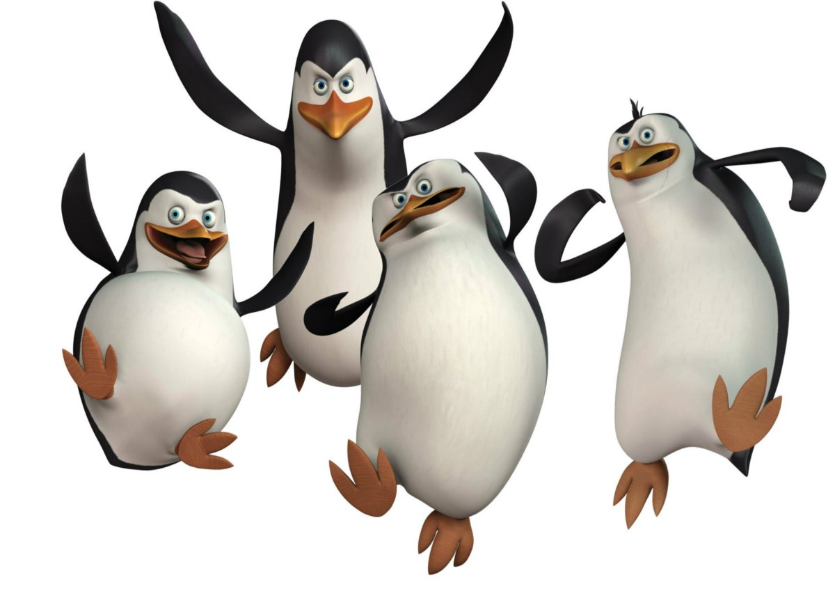 Шкипер Ковальски Рико и рядовой