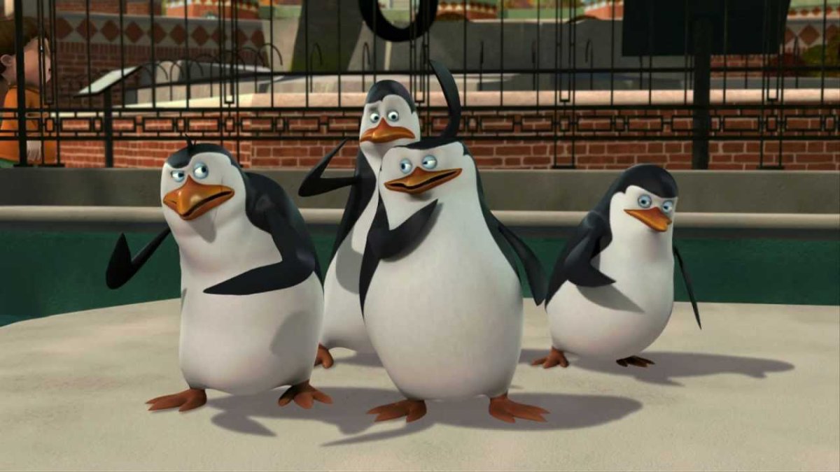 Шкипер Ковальский Рико и прапор