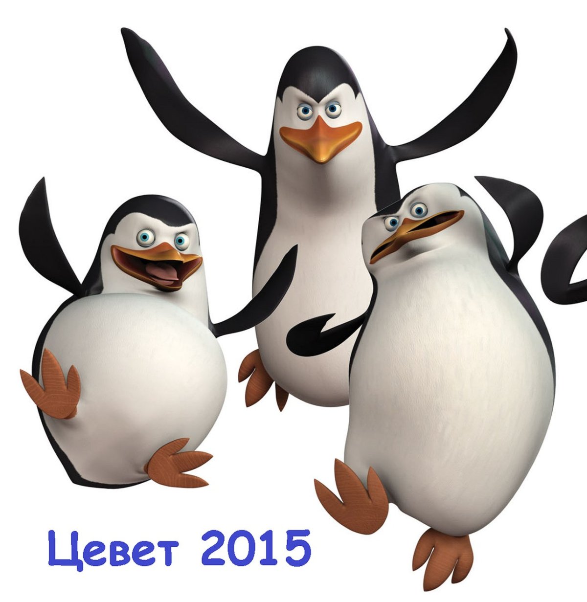 Шкипер Ковальски Рико и прапор