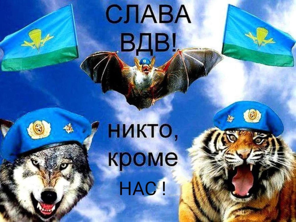 С праздником ВДВ прикольные