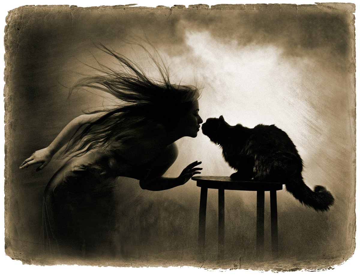 Кот Бегемот из мастера и Маргариты