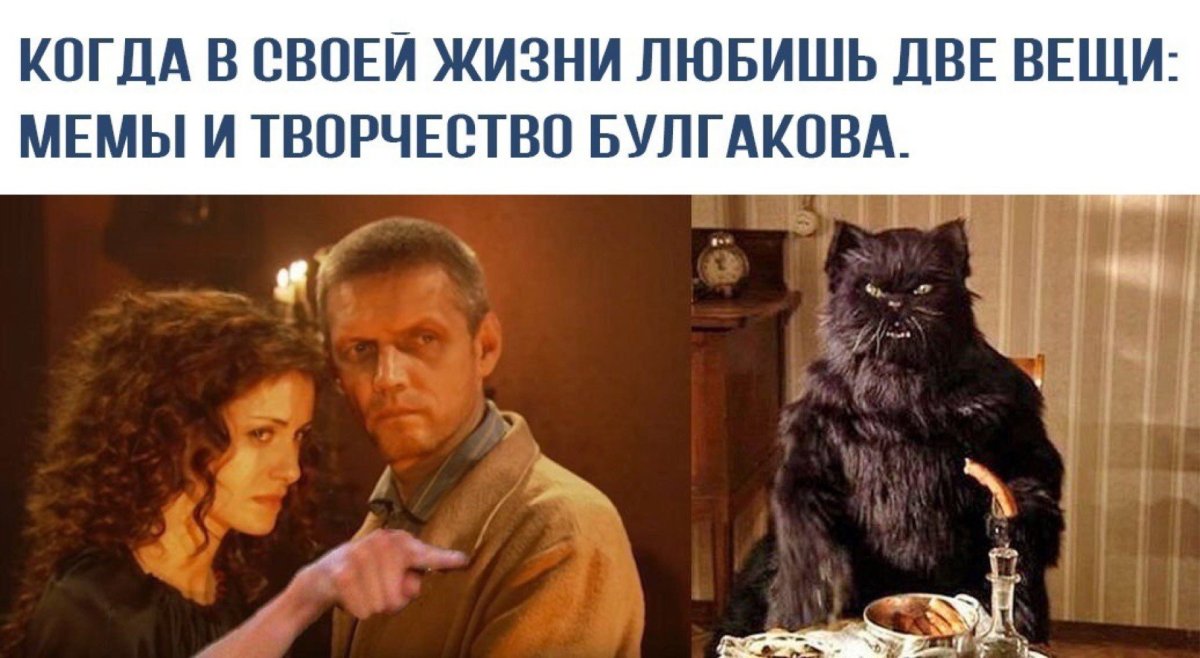 Кот Бегемот 2005