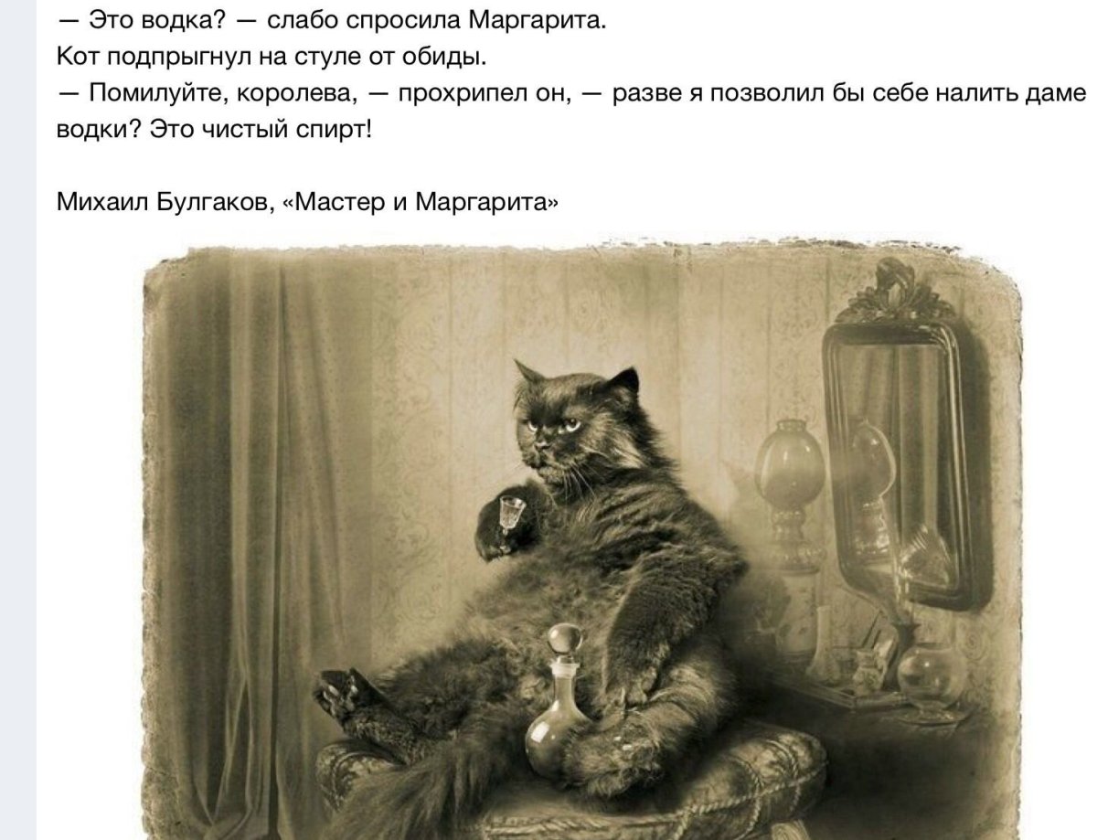 Кот Бегемот фильм 2005