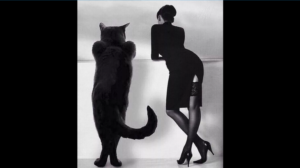 Мастер и Маргарита иллюстрации Елены Мартынюк