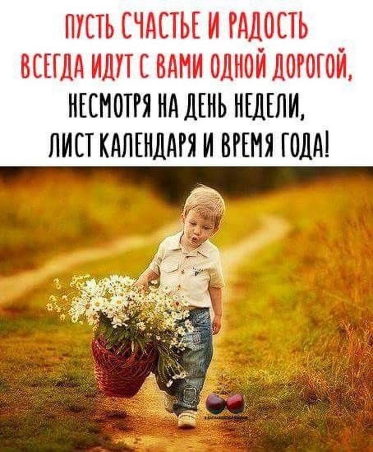 Марсель Марльер