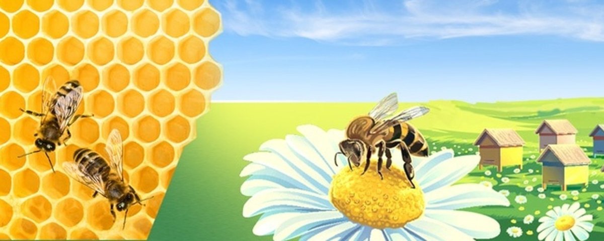 Мед и пчелы
