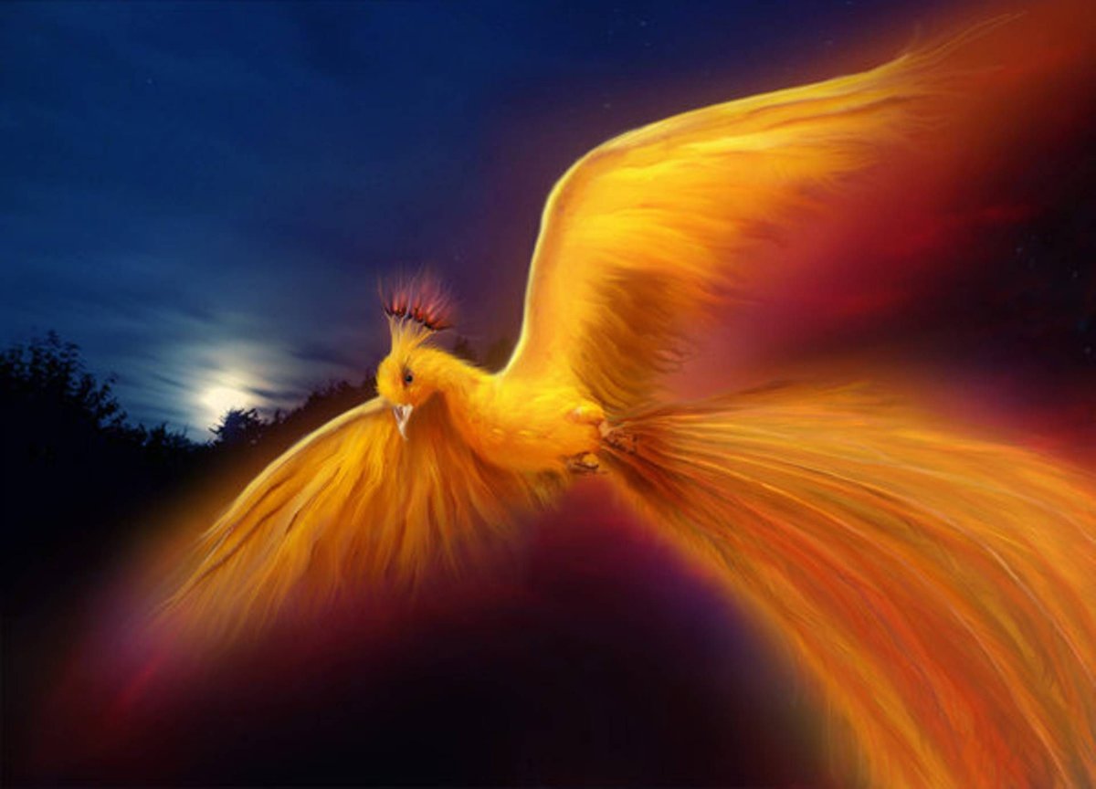 Золотой Феникс птица