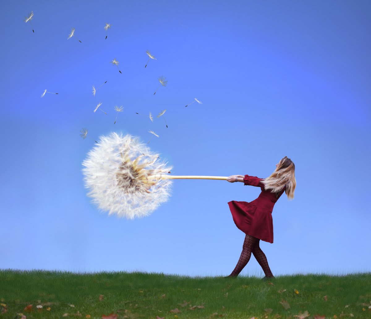 Человек одуванчик