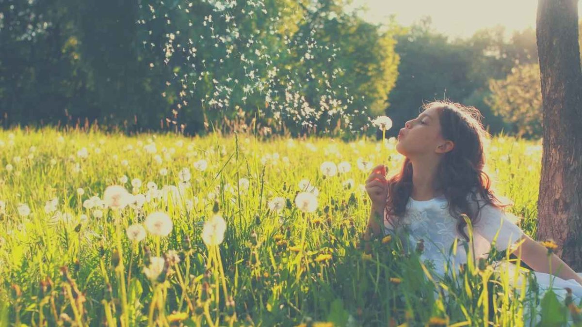 Девушка в одуванчиках спиной