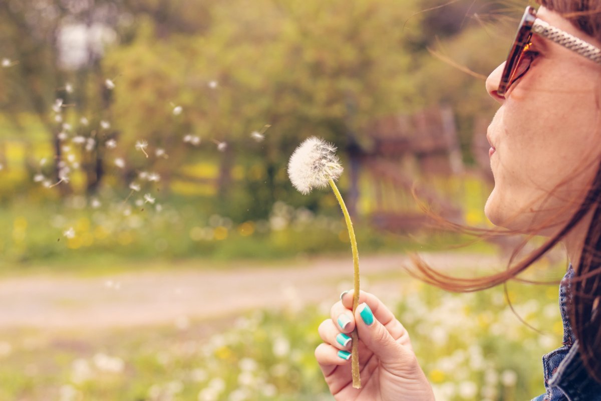 Девушка с одуванчиком