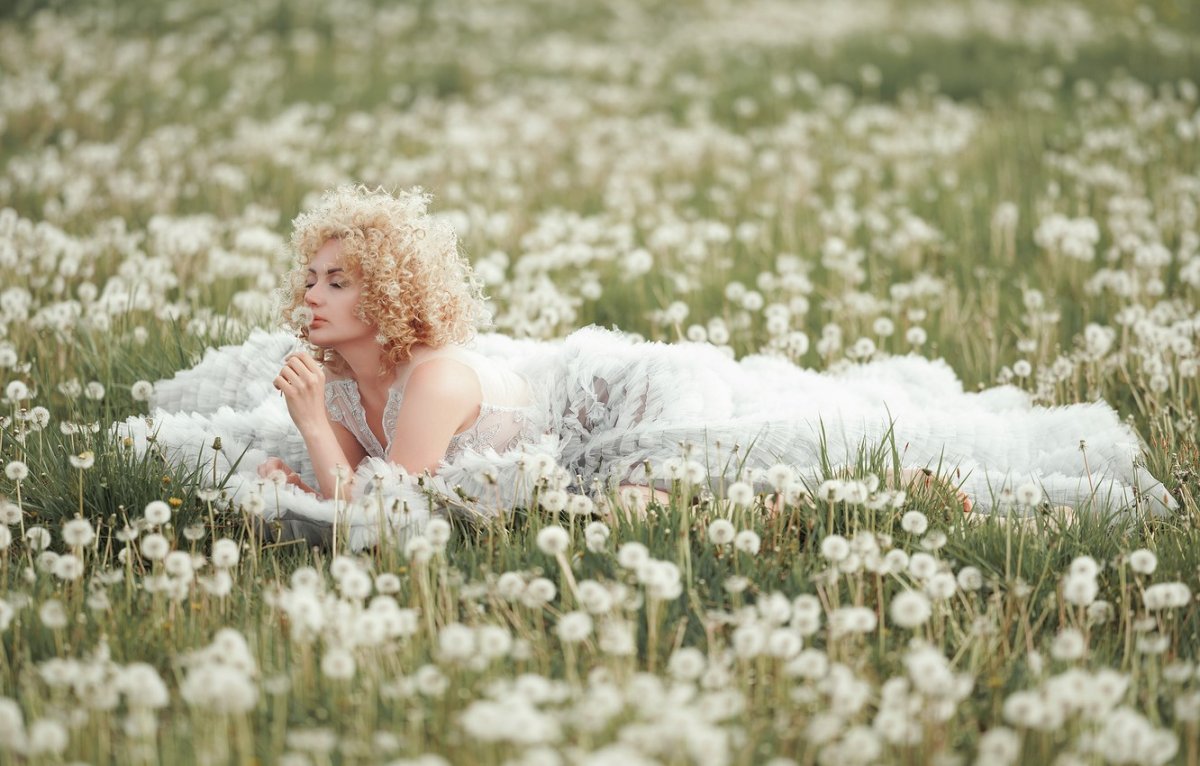 Одуванчик на аву