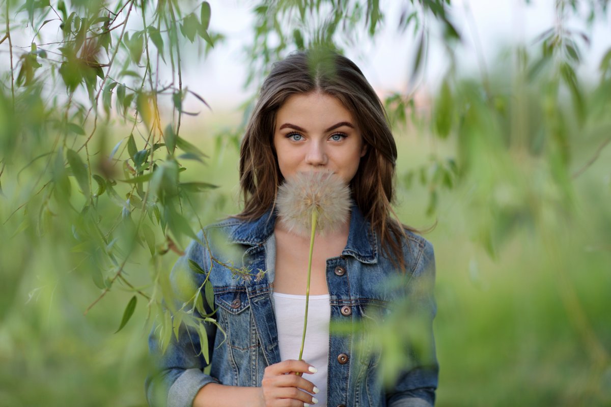 Эстетика одуванчиков желтых