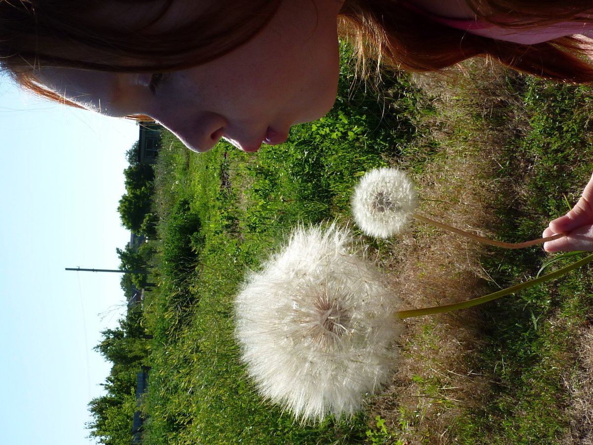 Дети новорождённые одуванчики