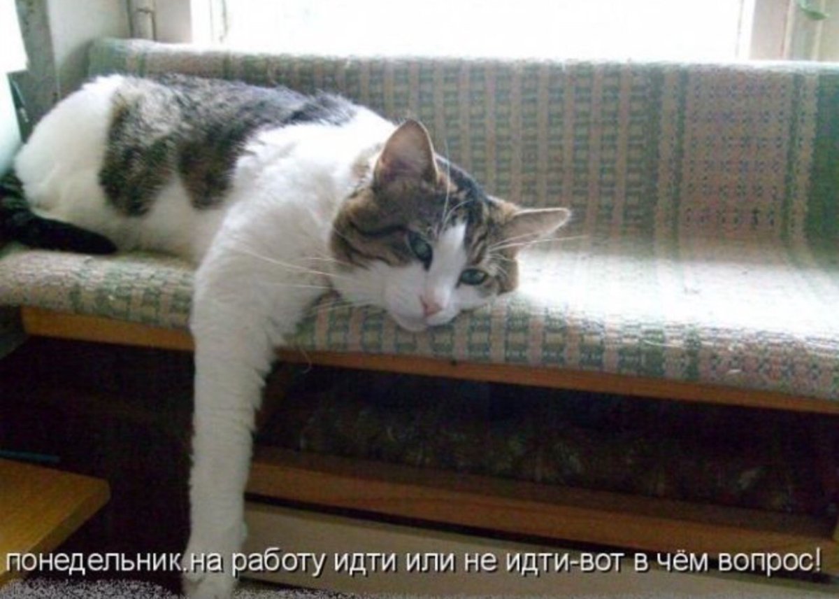 Понидельник не Охата еа работу