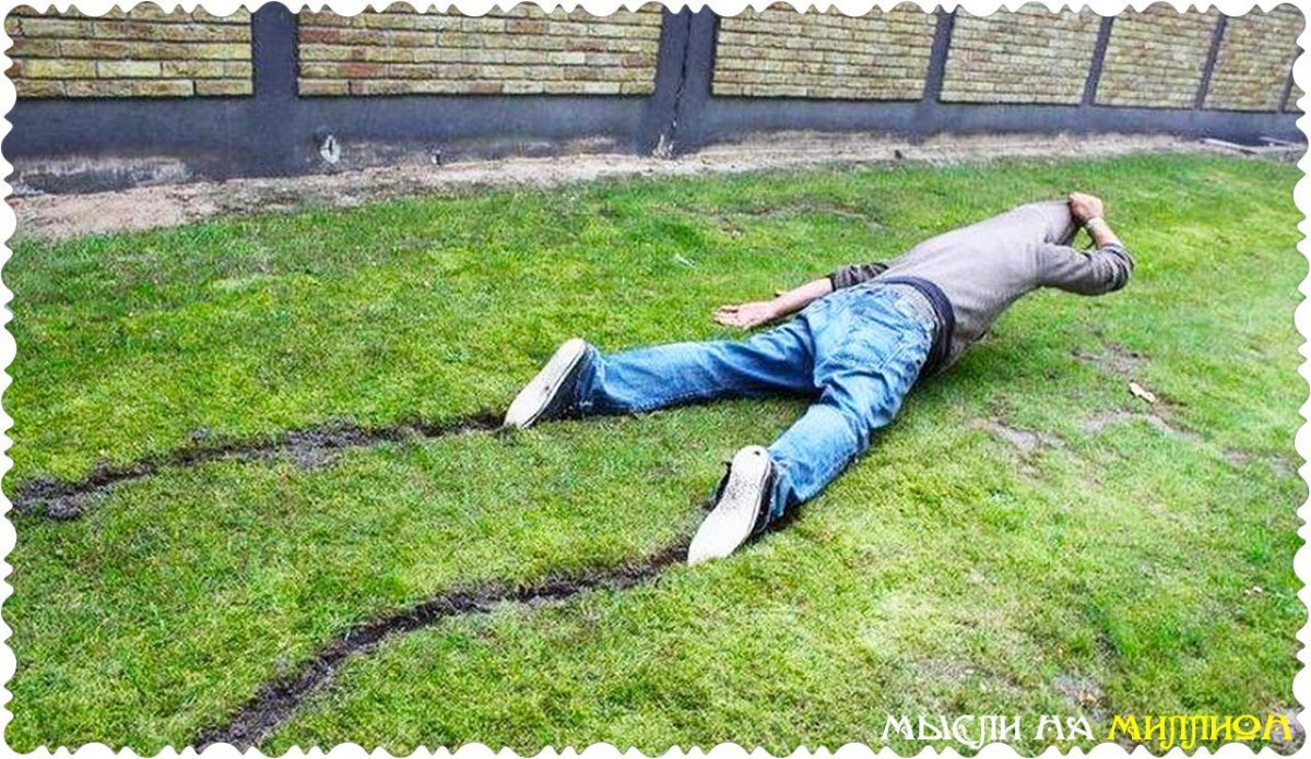 Уставший кот