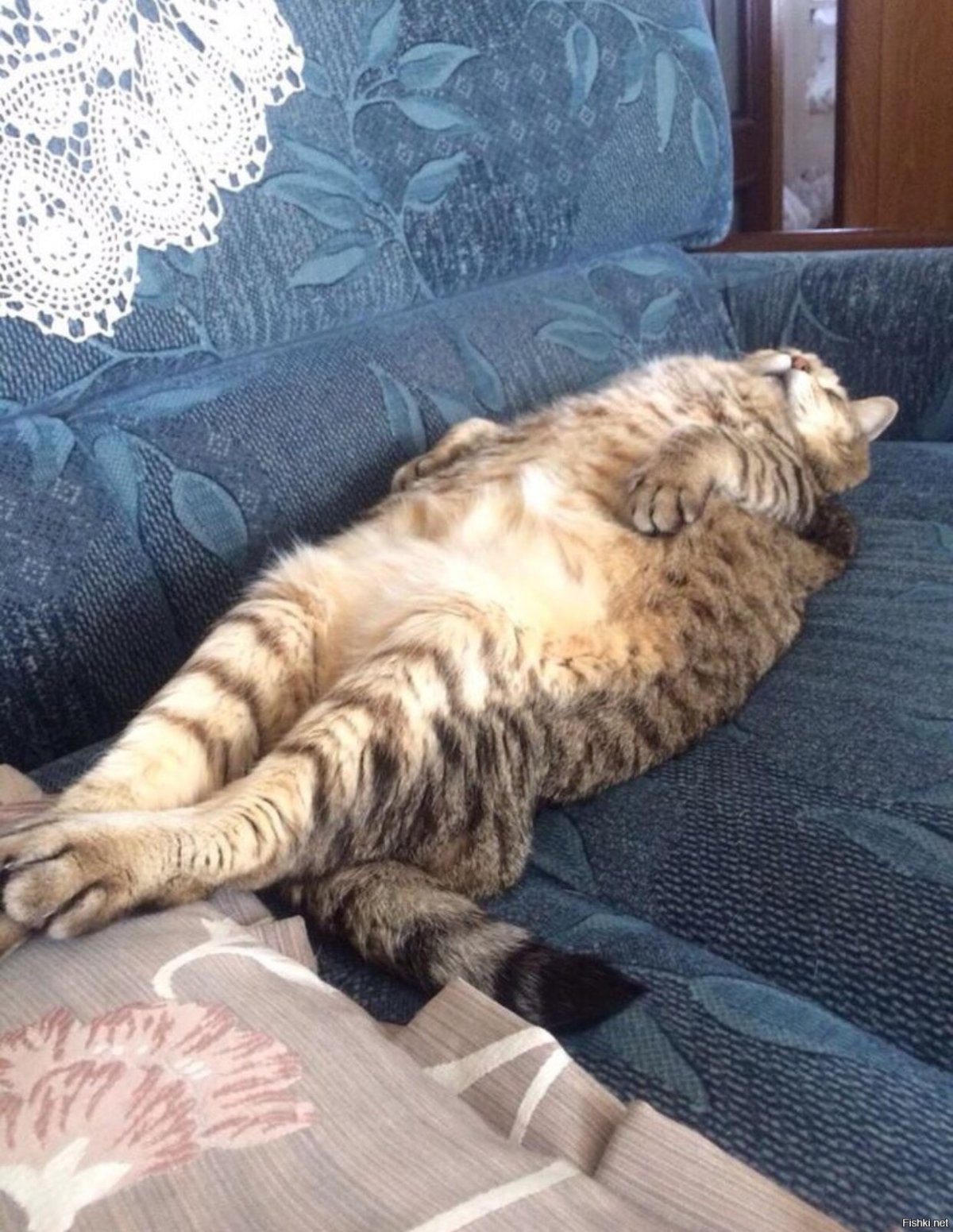 Карикатуры про отпуск