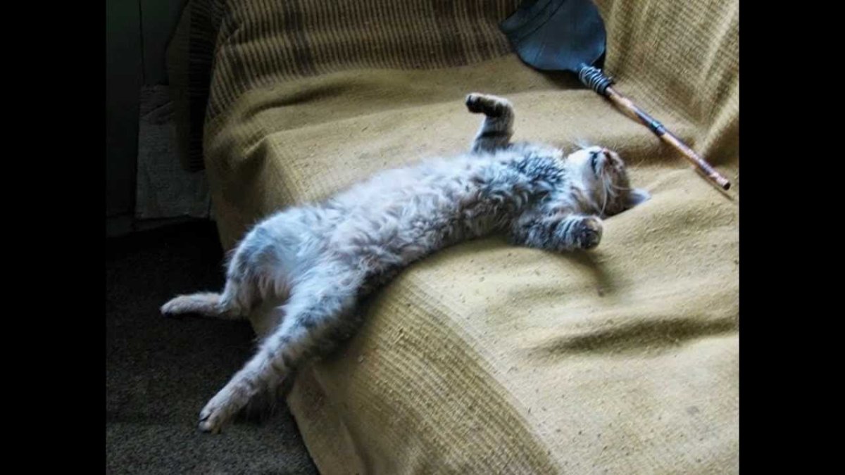 Уставшая девушка в офисе