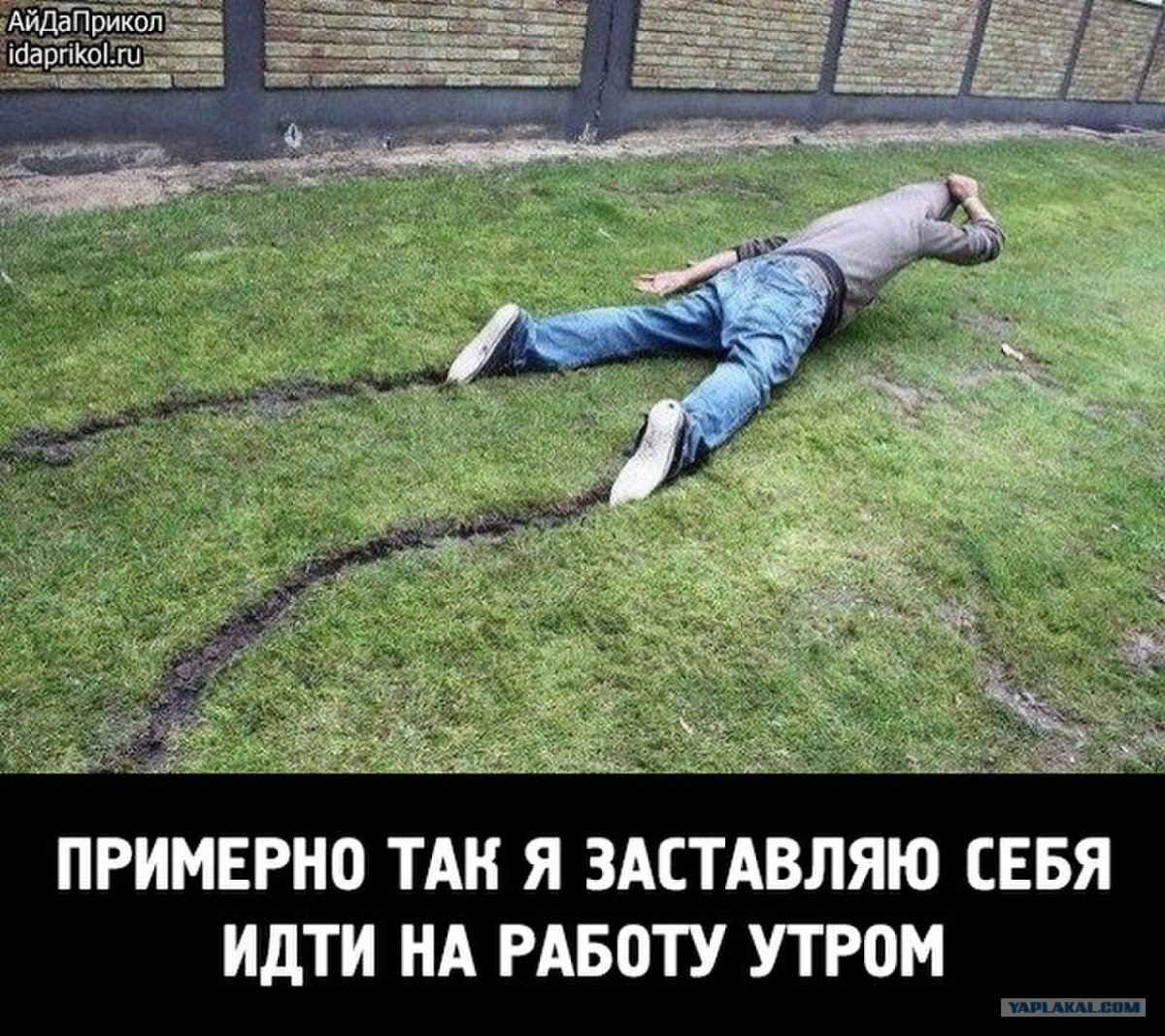 Картинки как я иду на работу прикольные
