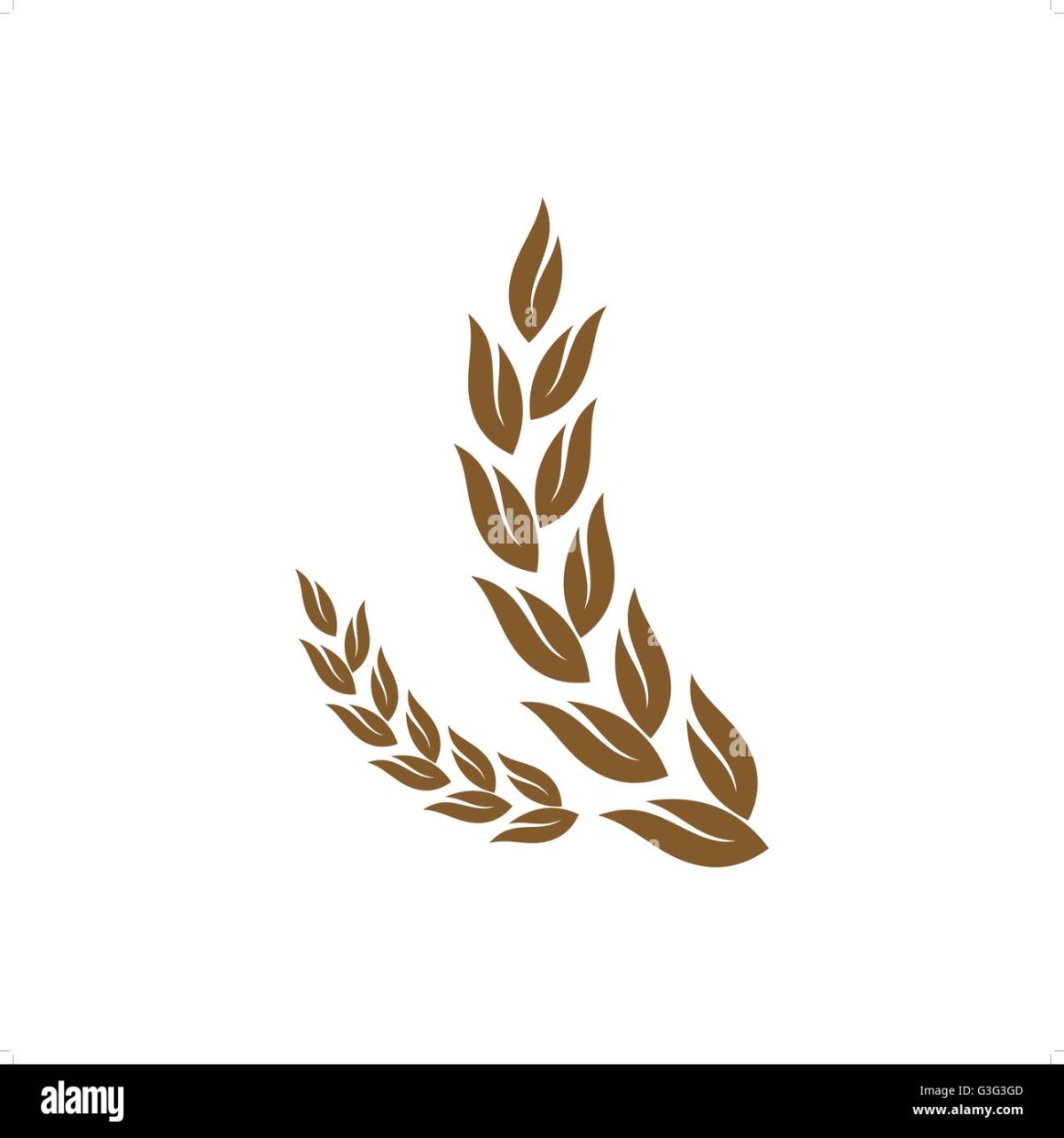 Пшеничная ветвь вектор