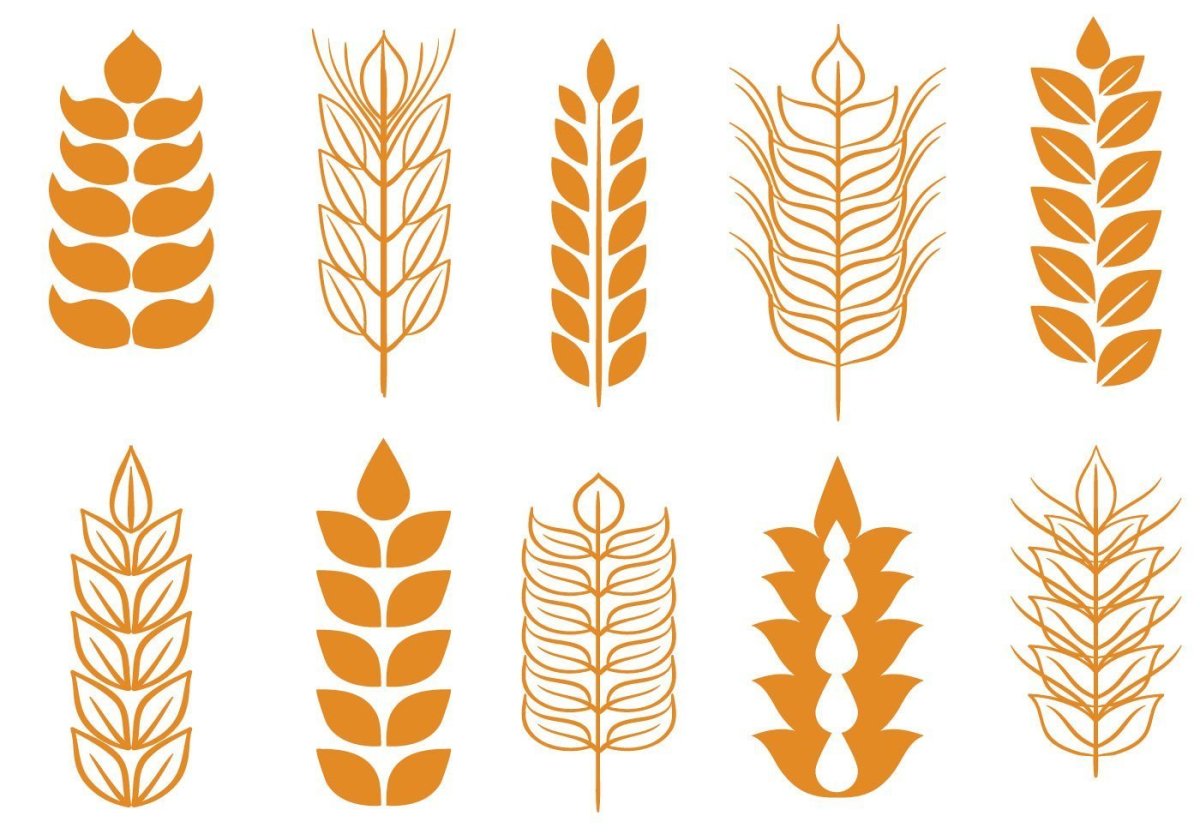Пшеница вектор