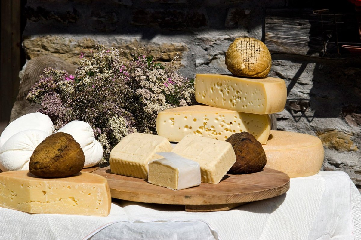 Красивый сыр