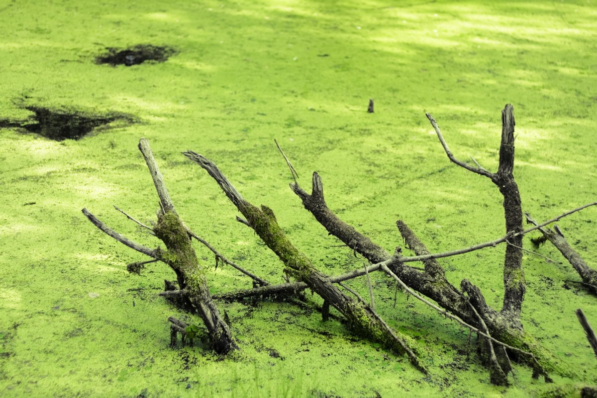 Милые иллюстрации девочек