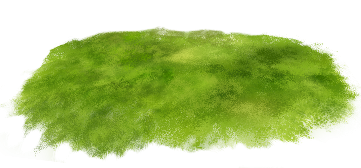 Трава Кочки на прозрачном фоне