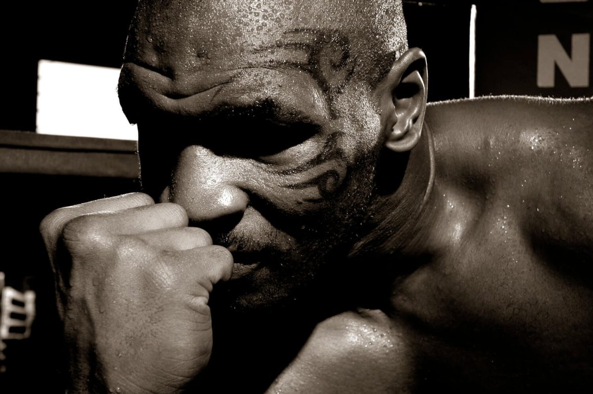 Майк Тайсон 2008